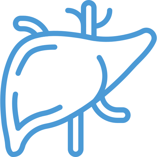 Liver